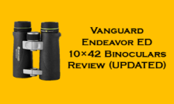 Vanguard Endeavor ED 10×42 Binoculars Review