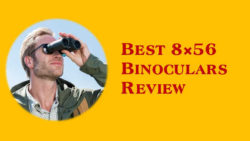 Best 8×56 Binoculars Review