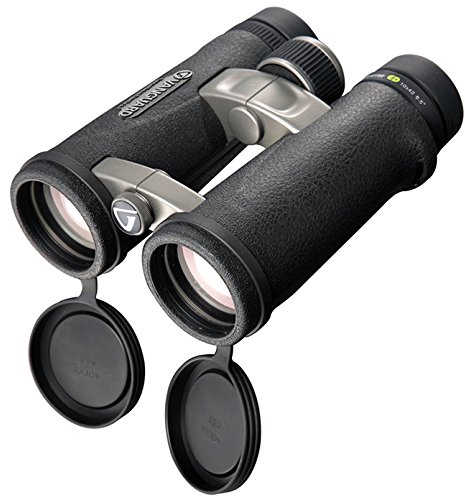 the Vanguard Endeavor ED 8x42 Binoculars Review