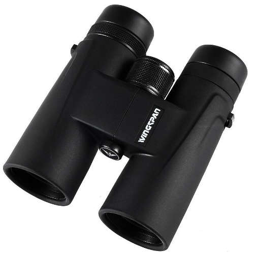 best bird watching binocular for the money