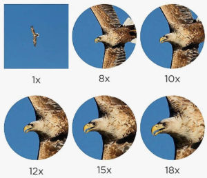 binocular magnification chart