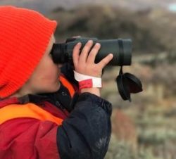 vortex diamondback binoculars review