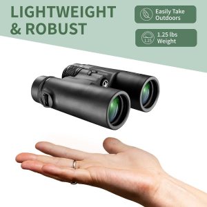 best binoculars for outdoor concerts