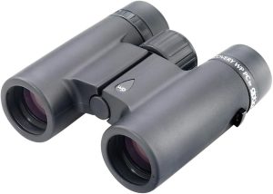 best compact binoculars for football games