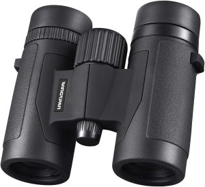 Best compact binoculars for indoor concerts