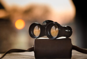 best binoculars for low light conditions