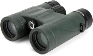 best cheap compact binoculars