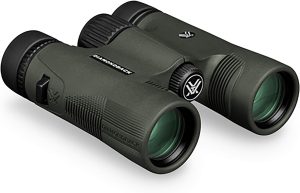 best compact binoculars for the money