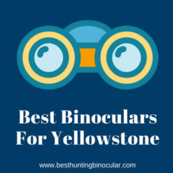 Best Binoculars For Yellowstone