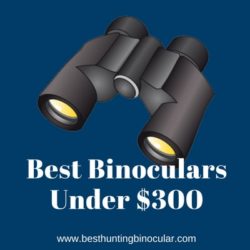 Best Binoculars Under 300 dollars