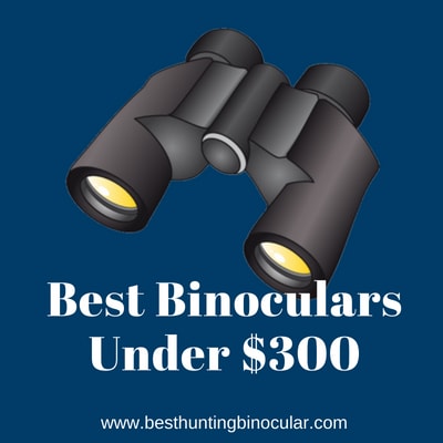 best binoculars under $300