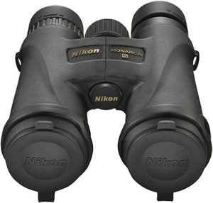 best binocular for bird watching