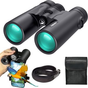 best compact binocular for viewing wildlife