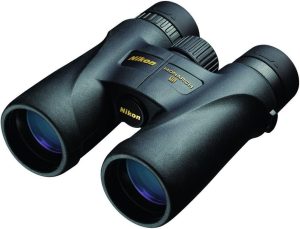 Best Binoculars for Bowhunting